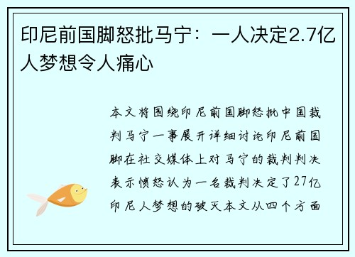 印尼前国脚怒批马宁：一人决定2.7亿人梦想令人痛心